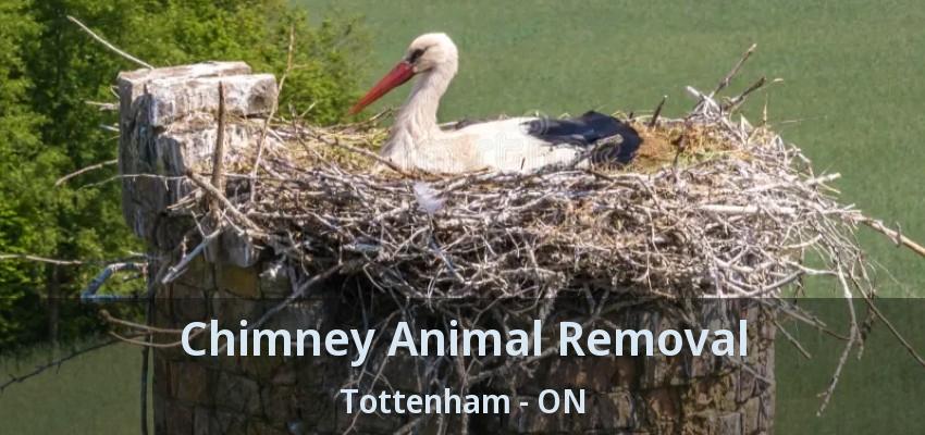 Chimney Animal Removal Tottenham - ON
