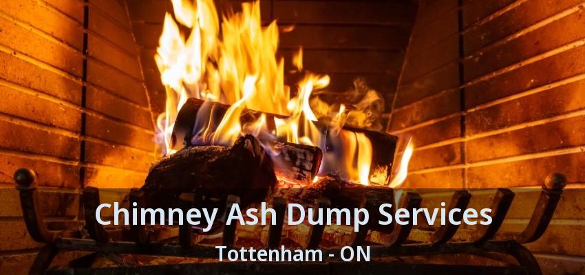 Chimney Ash Dump Services Tottenham - ON