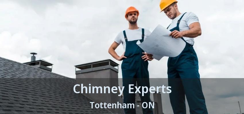 Chimney Experts Tottenham - ON