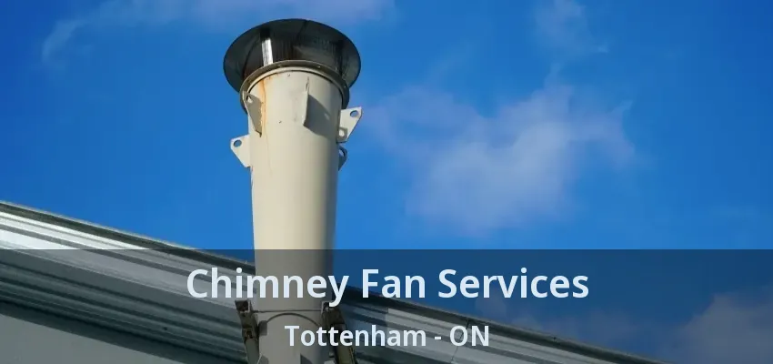 Chimney Fan Services Tottenham - ON