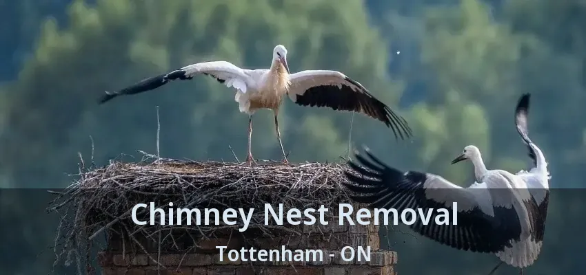 Chimney Nest Removal Tottenham - ON