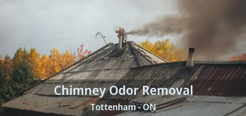 Chimney Odor Removal Tottenham - ON