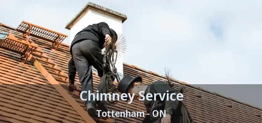 Chimney Service Tottenham - ON