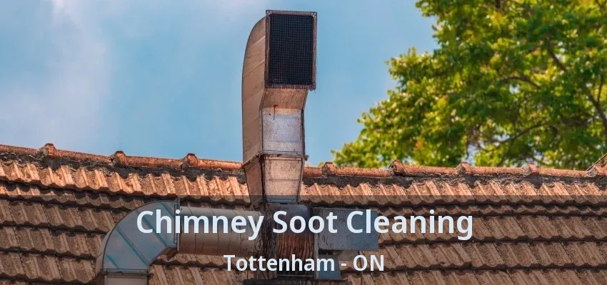 Chimney Soot Cleaning Tottenham - ON