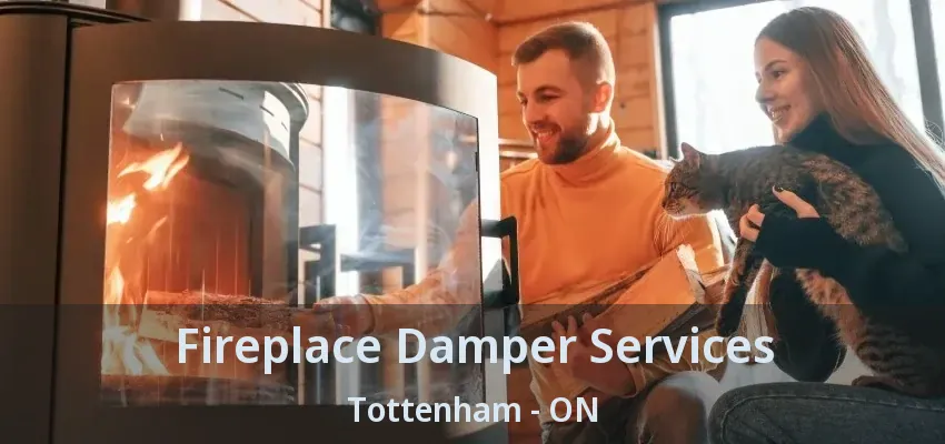 Fireplace Damper Services Tottenham - ON