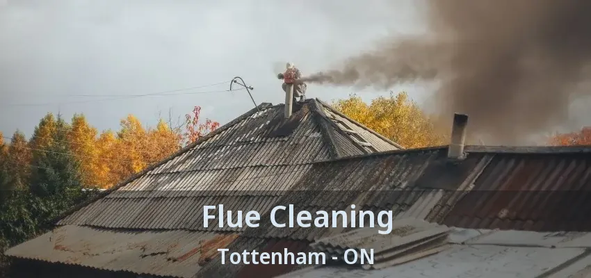 Flue Cleaning Tottenham - ON