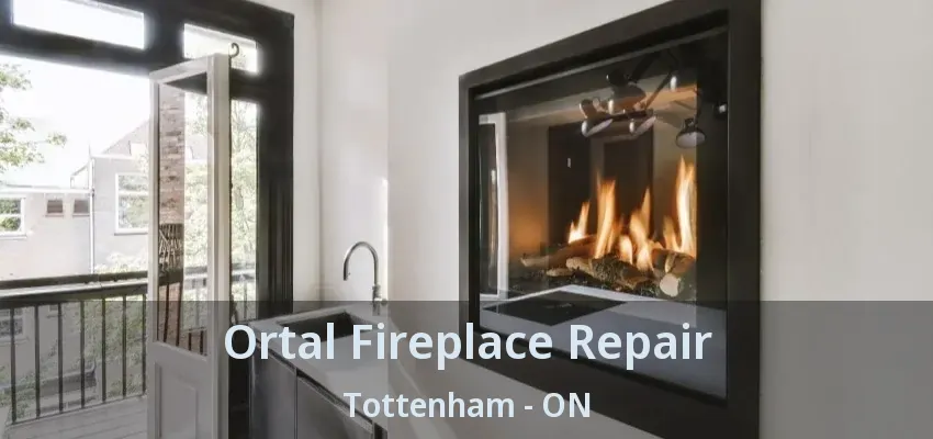 Ortal Fireplace Repair Tottenham - ON