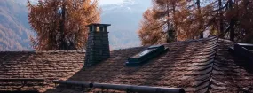 Chimney Animal Removal Tottenham