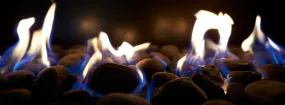 Gas Fireplace Embers Tottenham
